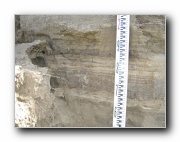 Click to enlarge this image